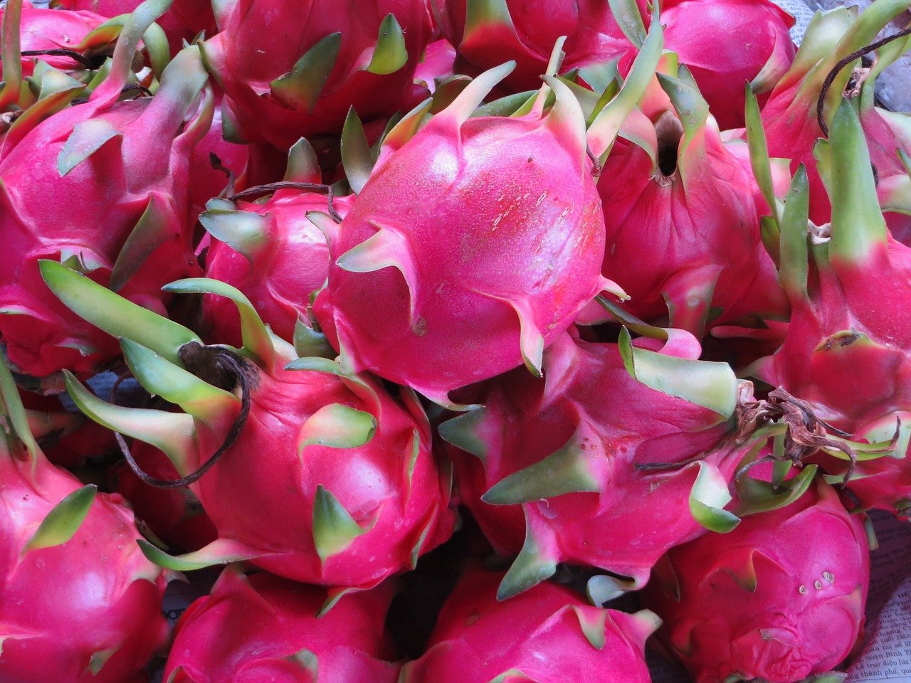New Opportunity in Foreign Trade: Dragon Fruit
